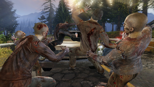 The War Z