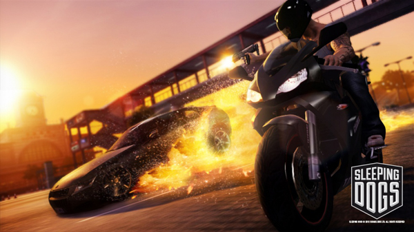 Sleeping Dogs Sleeping Dogs