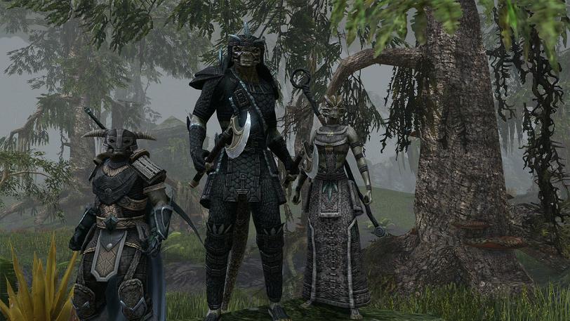 The Elder Scrolls Online The Elder Scrolls Online
