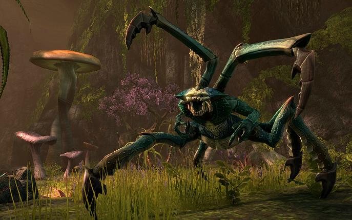 The Elder Scrolls Online The Elder Scrolls Online