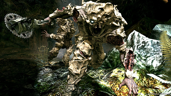 The Scorchers, RAGE The Scorchers, RAGE