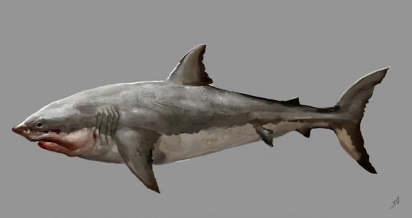 Assassin’s Creed IV: Black Flag