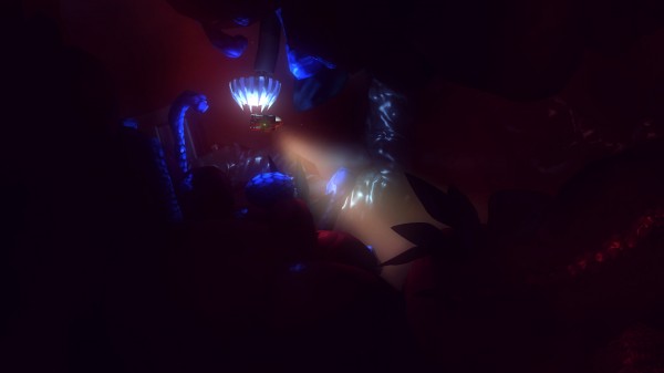 Affordable Space Adventures