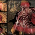 Sniper Elite 3