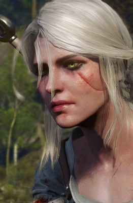 The Witcher 3: Wild Hunt