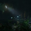 Soma