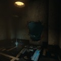 Soma