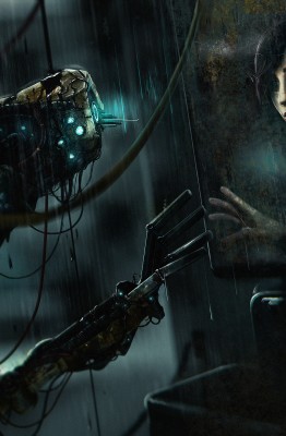 Soma